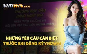 Những Yêu Cầu Cần Biết Trước Khi Đăng Ký VNDWIN