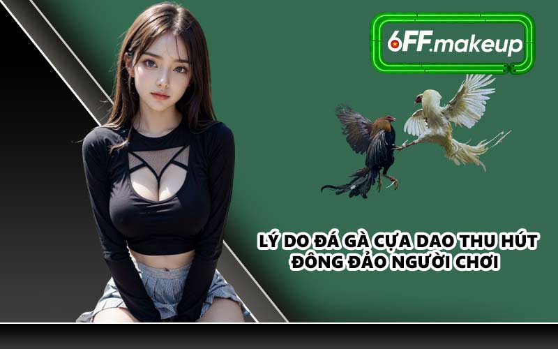 Lý do đá gà cựa dao thu hút đông đảo người chơi