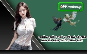 Những điều thú vị về đá gà cựa dao mà bạn chưa từng biết